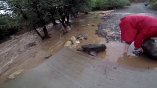The entire week consisted of daily storms. this video shows just one
those days. https://www.patreon.com/crazyuncletim