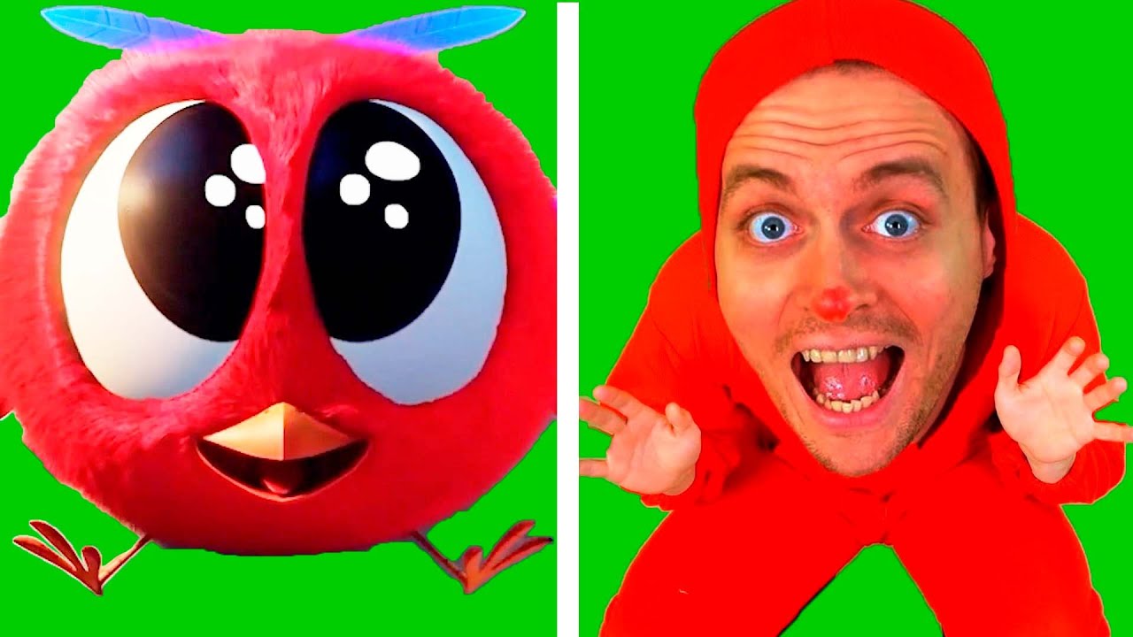 Where's Chicky? Funny Chicky 2022 | ROCK CLIMBING | Cartoon parody