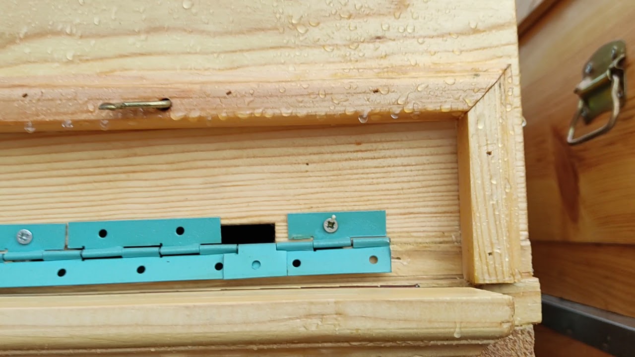 Ahşap kovan üstünde beziryağı ve zeytinyağı karışımının yağmura etkisi