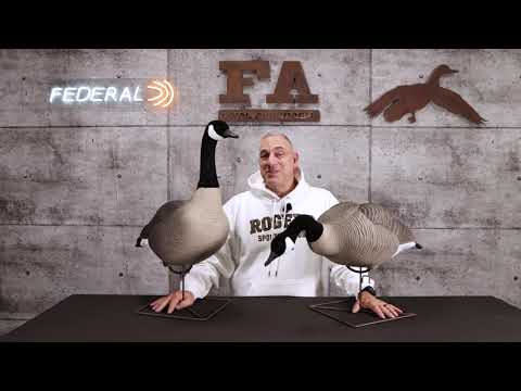 FA HD HONKERS: A FAN FAVORITE