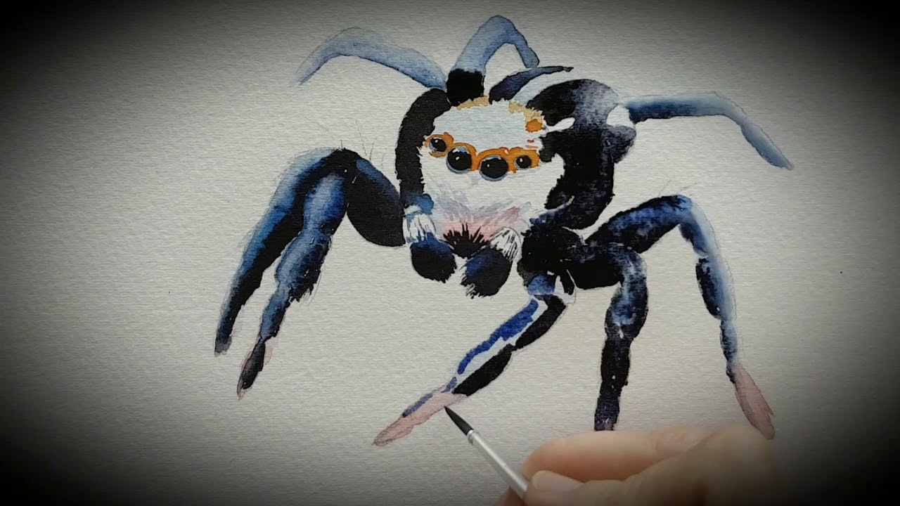 Painting a Jumping Spider - YouTube