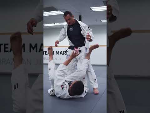 Passing and Defending Squid Guard