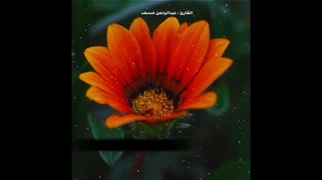 حالات واتس اب تلاوة خاشعة للقارئ عبدالرحمن مسعد 💓 🕊️