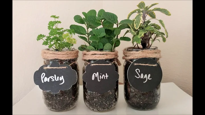 DIY Craft: How to Make a Mason Jar Indoor Herb Garden