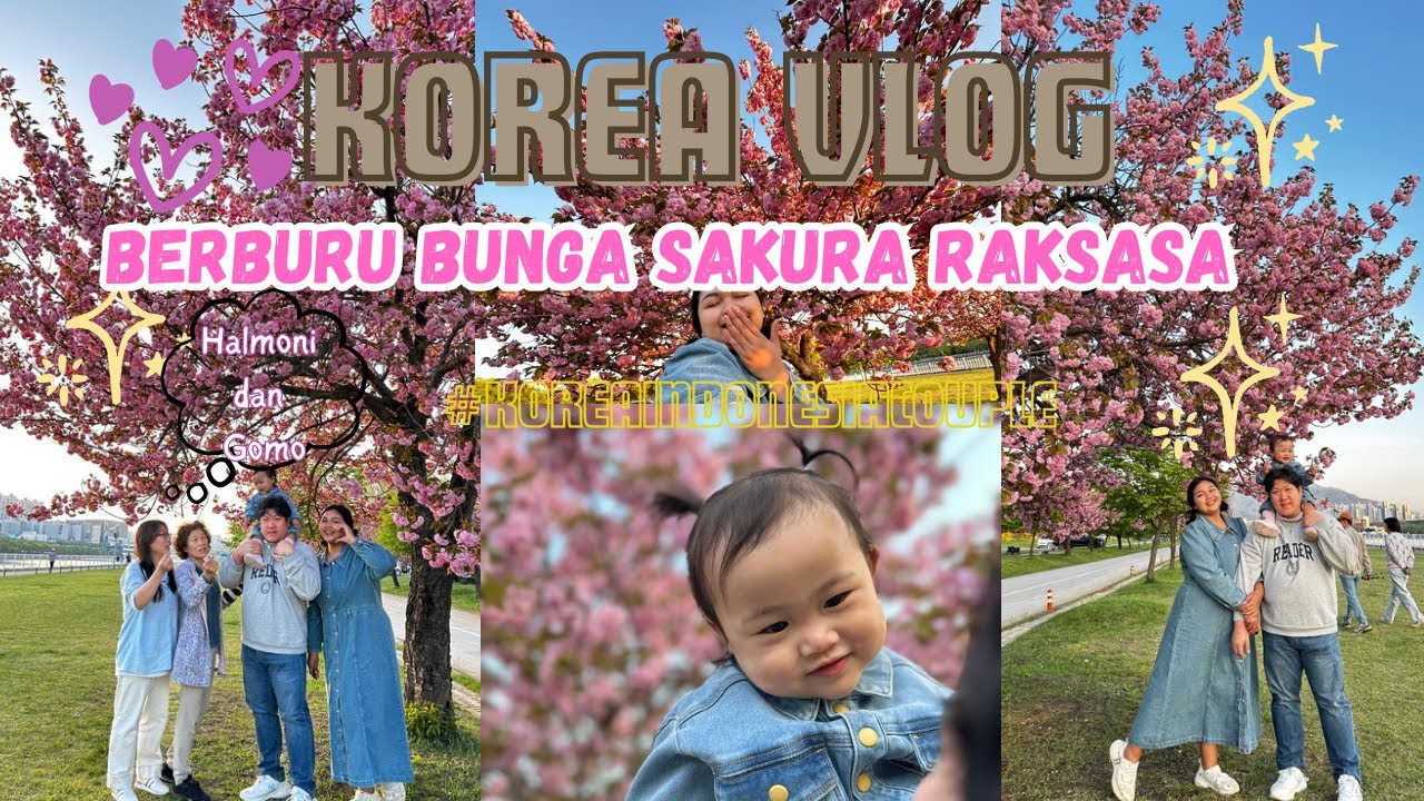 MERTUA KOREA NGAKAK LIAT KELAKUAN MANTU INDONESIA! Berburu Sakura Raksasa!