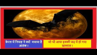 WHAT IS NIPAH VIRUS\\ क्या है निपाह वायरस, कैसे फैलता है, क्या है लक्षण जानिए हिंदी में