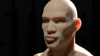 V-Ray Alsurface VS other SSS methods