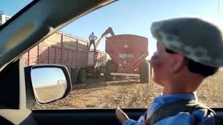 Pirulo Controlando Que No Caiga La Cosecha Del Camión..