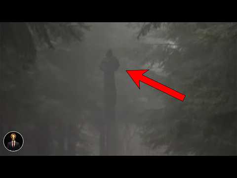 There was something in the woods - March 17, 2026 | HollywoodScotty VFX