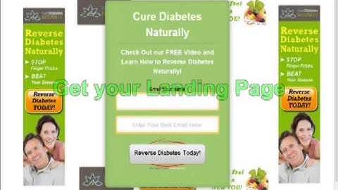 60 Dollar Elance WordPress Squeeze Page