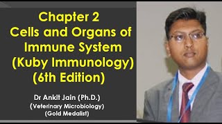 Chapter 2 - Cells and Organs of Immune System (Kuby Immunology 6th Edition)