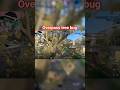 Cs2 Overpass Tree Bug 🤔🤔#cs2 #overpass #cs2highlights