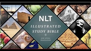 Illustrated Study Bible NLT