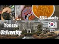 Yonsei University Campus Tour and South Korea Vibes (vlog 16)