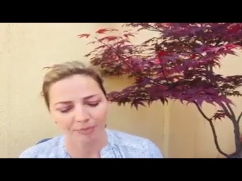 რა გავაკეთე COVID 19 დროს ხალხისთვის? (5.16.2020)