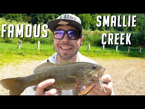 Fishing The Most FAMOUS Smallmouth Creek On The Internet - Illinois Creek Smallies