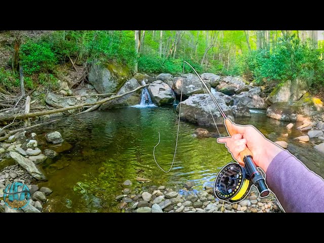 Spring Fly Fishing an Incredible Small Creek! (Native Brook Trout)