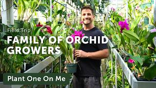 WALDOR ORCHIDS Tour — Ep. 430