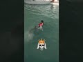 پاکستان کا خوبصورت ترین سوئمنگ پول Royal Land Swimming Pool Shorts 