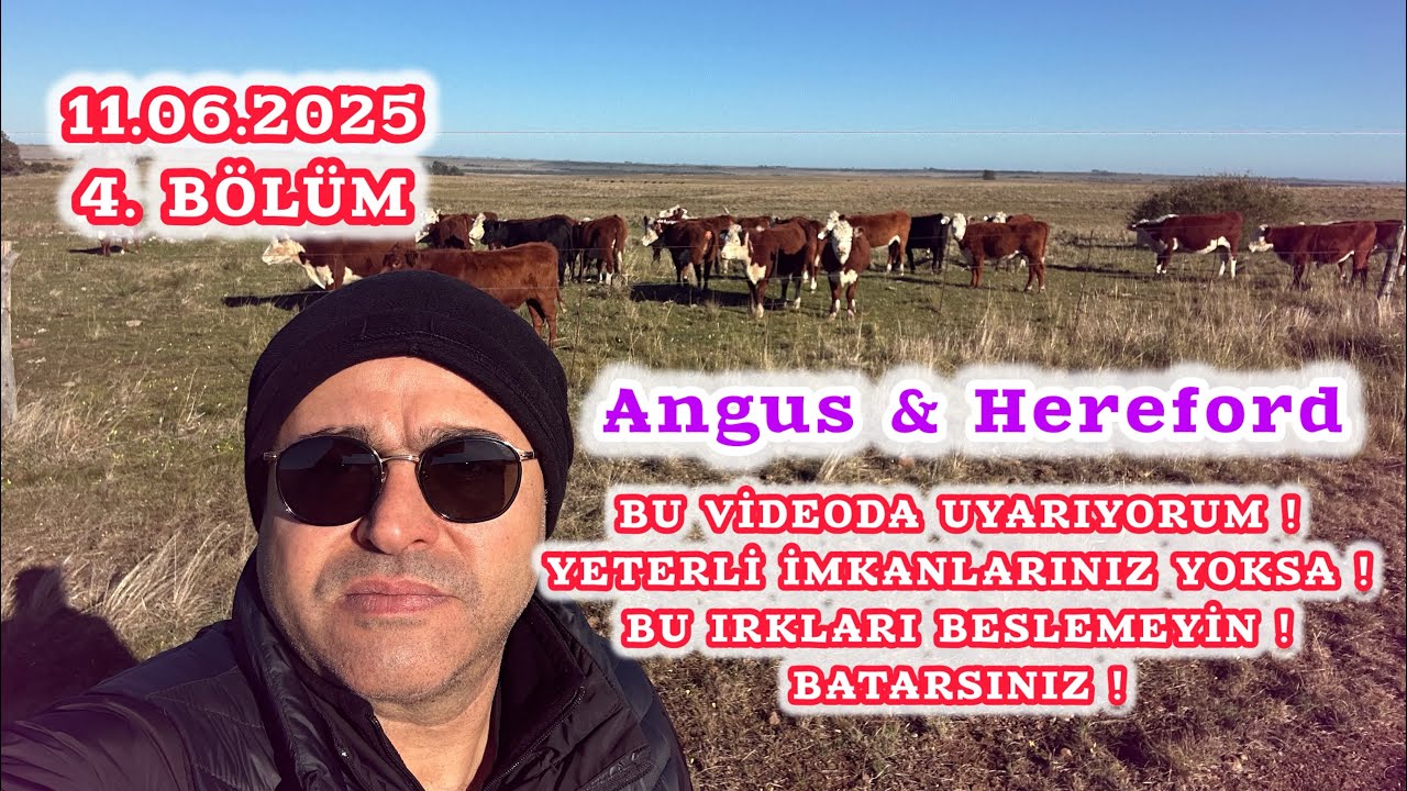 URUGUAY’da ETÇİ IRKLAR NASIL BESLENİYOR? NASIL BARINIYOR? NEDEN LİMUZİN ŞAROLE BESLEMİYORLAR ?