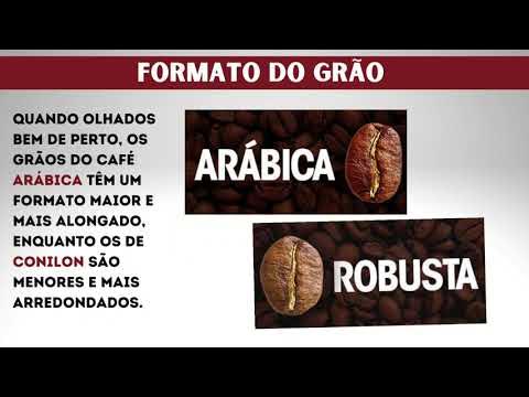 Descubra a diferença entre o café conilon e o arábica