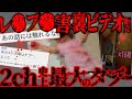 【閲覧注意】何らかの理由で真実が日本国政府と公安調査庁に隠蔽されており絶対に語ってはならない内容である【鮫島事件】