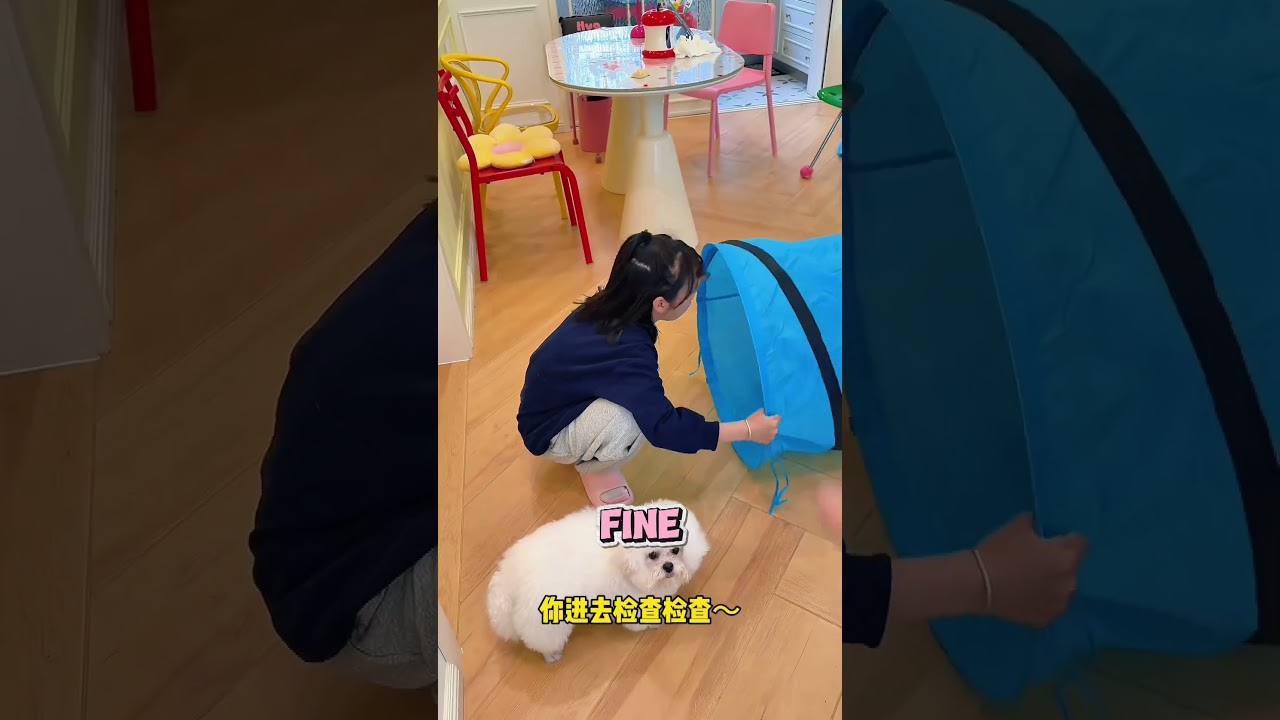 The Cat Went Into the Pipe    But Who Came Out?!