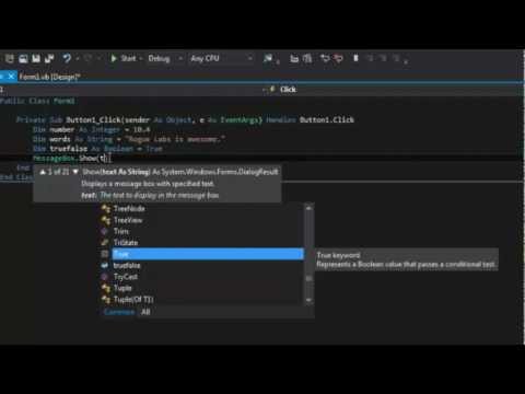 Lesson 2: Data types and Varibles (VB.net)