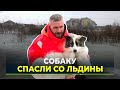 Два дня на льдине. Без еды и шансов на спасение