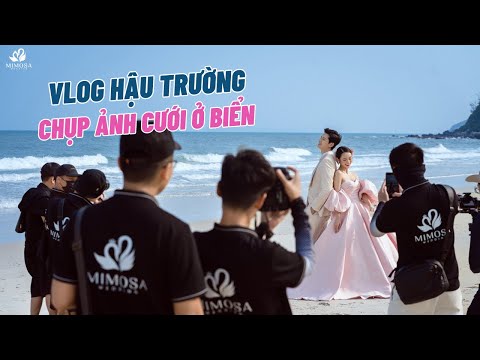 BẬT MÍ HẬU TRƯỜNG CHỤP ẢNH CƯỚI Ở BIỂN ĐẸP MÊ MẨN - MIMOSA WEDDING