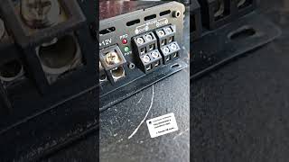 Error muy común al conectar un amplificador #caraudio #amplificador