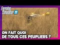 Farming simulator 22  rentabilit du peuplier 3