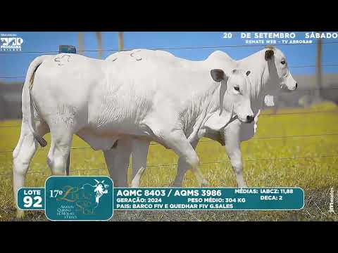 LOTE 92   AQMC 8403  3986
