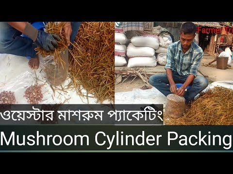 ভিডিও: কীভাবে সিলিন্ডার তৈরি করবেন