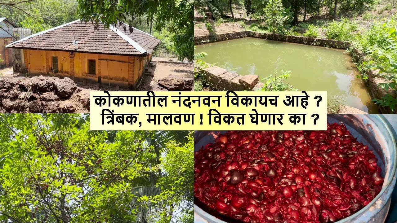 कोकणातील नंदनवन विकायच आहे ? त्रिंबक, मालवण !  विकत घेणार का ?