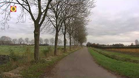 Asielzoeker uit Lage Zwaluwe moet onderduiken na mishandeling en Facebook-bedreigingen