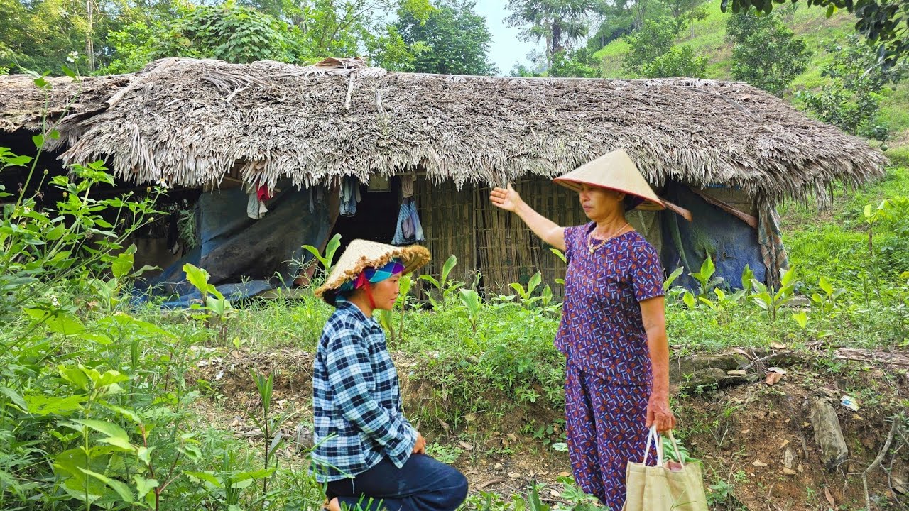 Single mother is fortunate to be given abandoned house in the forest by kind old woman.
