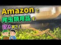 ネットで爬虫類の飼育用品を買うと３～４割安い！【ニホンカナヘビ・爬虫類・飼育・Amazon】