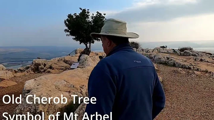 Israel Tour -Mt Arbel Sat Dec 31