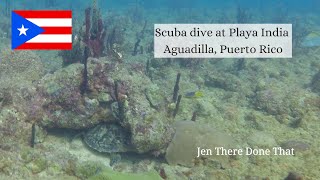 Scuba Playa India in Aguadilla | Travel Puerto Rico | Turtles, spotted eels, lionfish, and reef fish