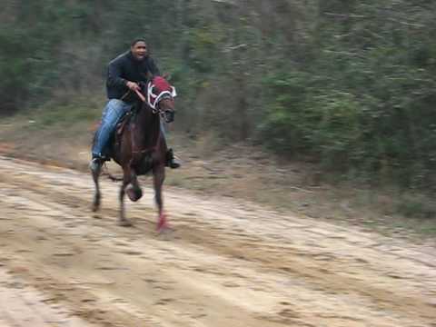 Free pacer search