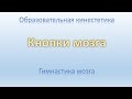 Образовательная кинестетика. Гимнастика мозга. Кнопки мозга