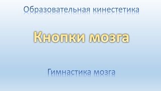 Образовательная кинестетика. Гимнастика мозга. Кнопки мозга