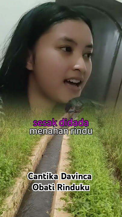 #Cantikadavinca #lagusedanghits #lagu #laguviral  #obatirinduku  #fyp