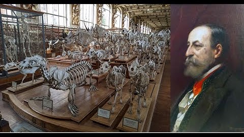 The Paris Gallery of Comparative Anatomy "Music Video" (with Saint-Saëns Carnival of the Animals)