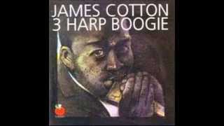 Video thumbnail of "3 HARP BOOGIE James Cotton,Paul Butterfield,Billy Boy Arnold"