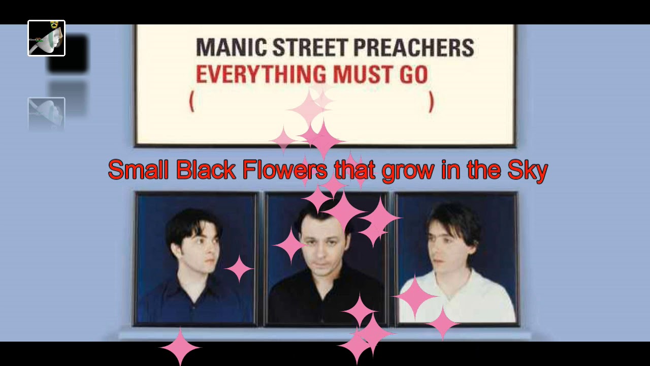 Small Black Flowers that grow in the Sky YouTube
