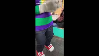 Chuck E Cheeses Default Dance but with the actual Default Dance theme