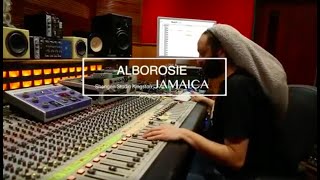 Alborosie - Table Has Turned Dub LIVE | DUB Mechanic Series