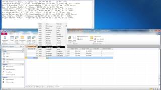 Celebrity Lab 4 Tutorial Video 4   Entering Data Net Worth